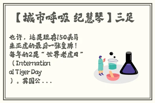 舞蹈里面全是小馒头